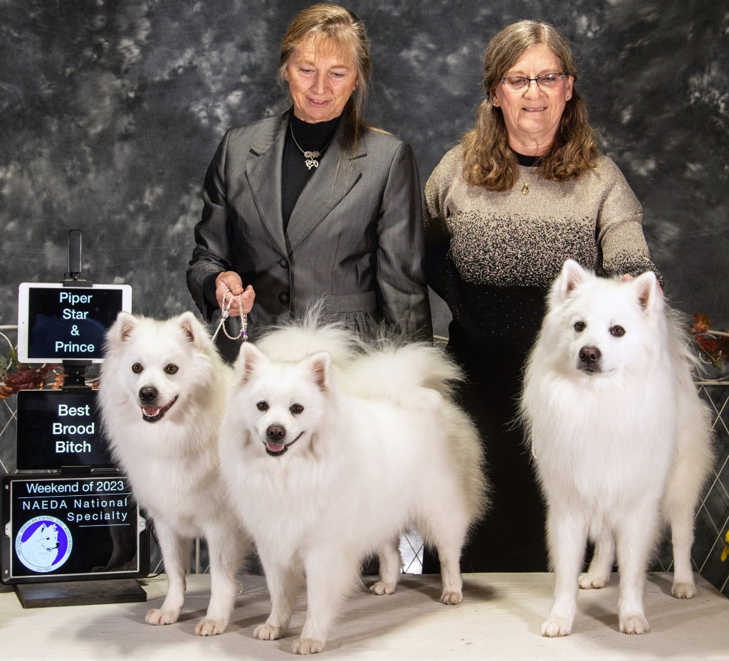 The Journey Continues